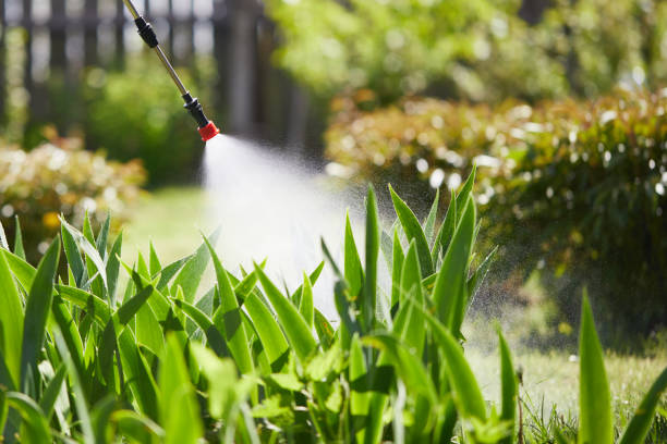 24/7 Emergency Fumigation Services experts in Melbourne, AR
