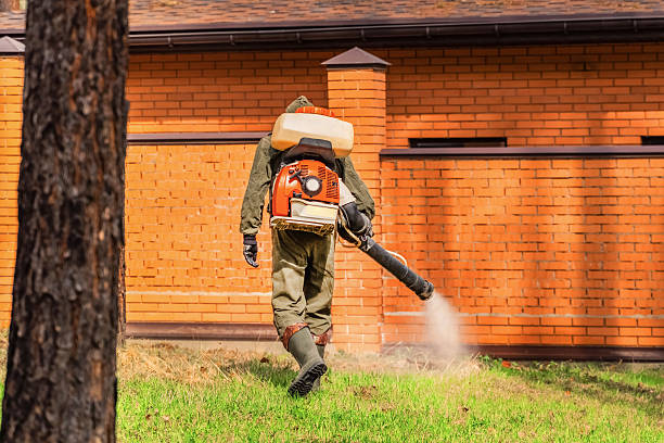 Trusted Bed Bug Control service in Melbourne, AR - Nex Pest Control